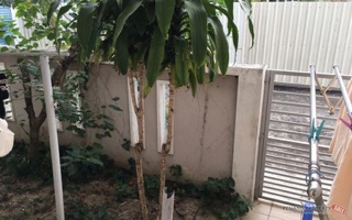 Slim Villas 3 Storey House (3000 sf)