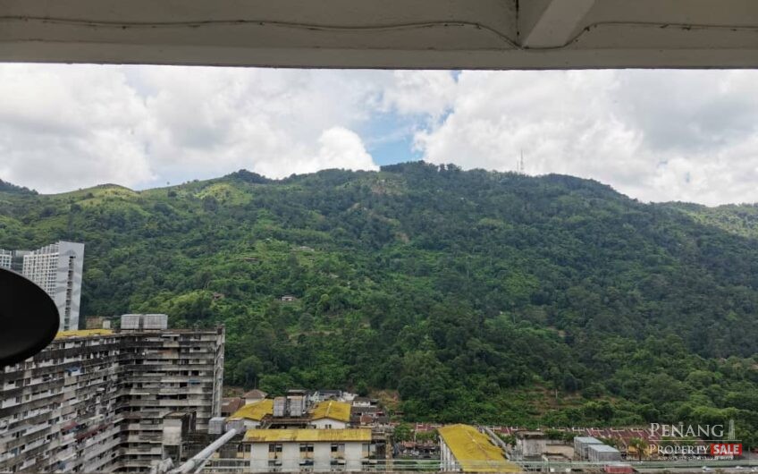 For Sale Sun Moon City Paya Terubong Ayer Itam Pulau Pinang