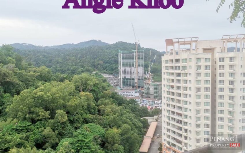 Regency Height Bayan Lepas 2 CARPARK Fully Renovated PRICE NEGO