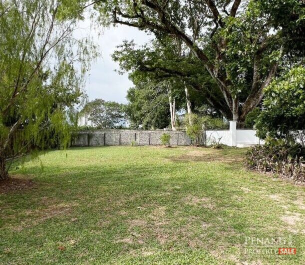 Single Storey Semi-D Super Big Compound @ Jesselton Pulau Tikus