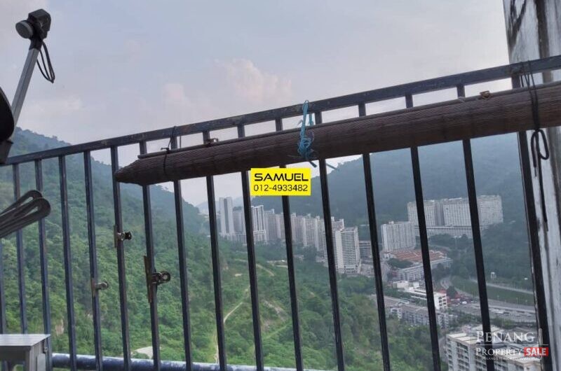 Bukit Awana Condo, Urgent Sale, High Floor, Paya Terubong