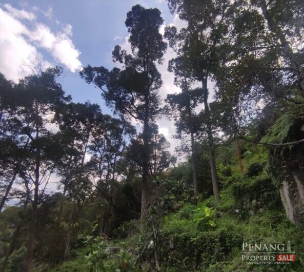 Balik Pulau 9.33 Acre Agriculture Land for sale, Multiple Fruit Trees