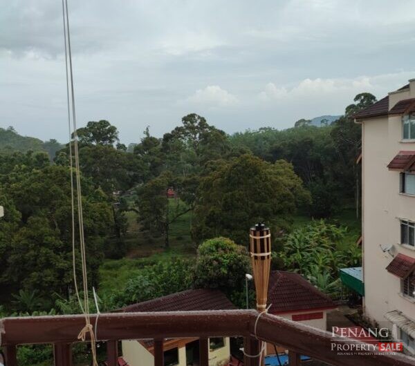 For Sale Pangsapuri Air Puteh Balik Pulau Pulau Pinang