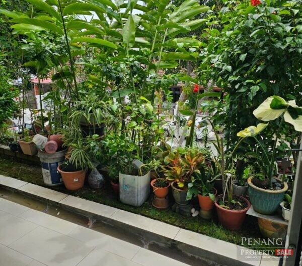 Mutiara View Gelugor 1054sf 2 Car Park Ground Floor Worth to buy