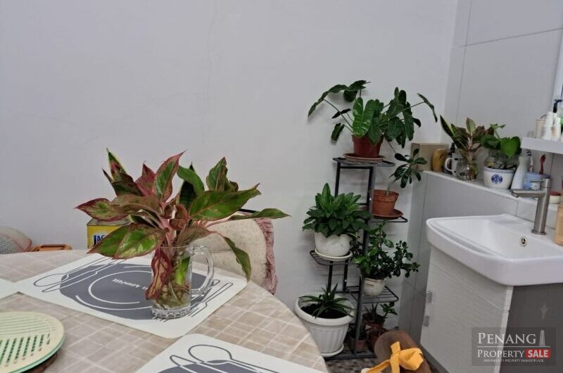 Island Glades , Lorong Delima Greenlane 11600 Jelutong Pulau Pinang