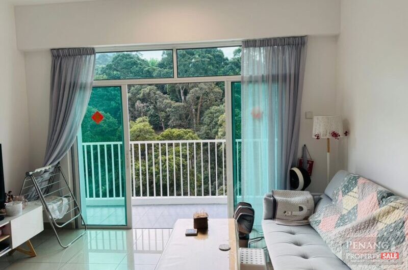 Setia Pinnacle Condo (Sg Ara)