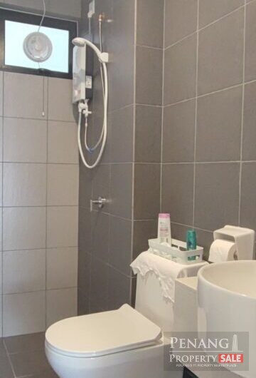 Tree O Sungai Ara Fully Renovated Nice Unit High Floor 2 Carpark Relau