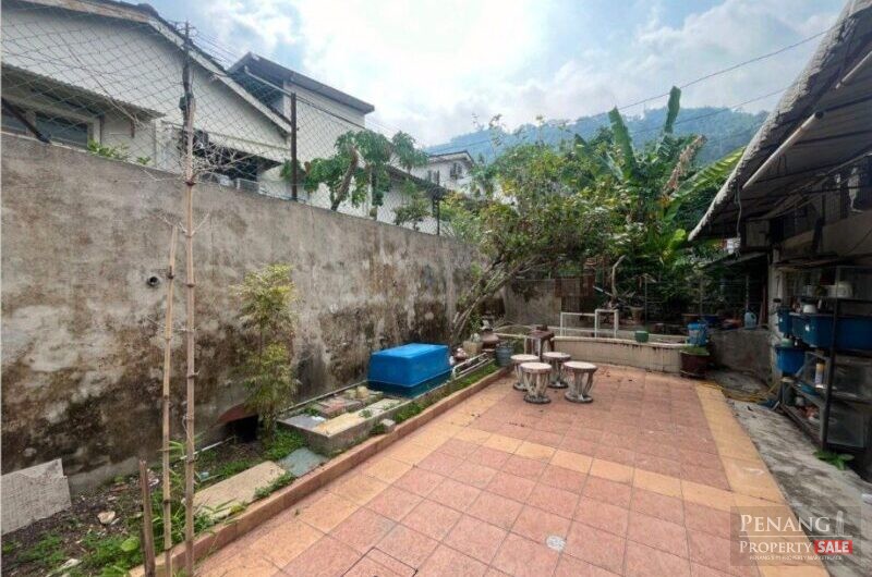 1 Sty Semi D Paya Terubong Renovated 2600sf Jalan Oriental Buah Jambu