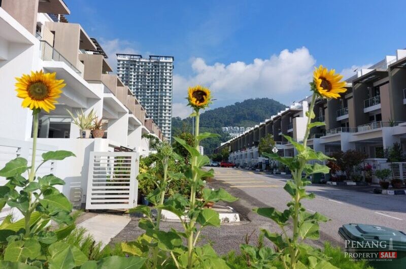 199 Raffles Residence, Lorong Permai, Triple Storey Terrace, Gelugor