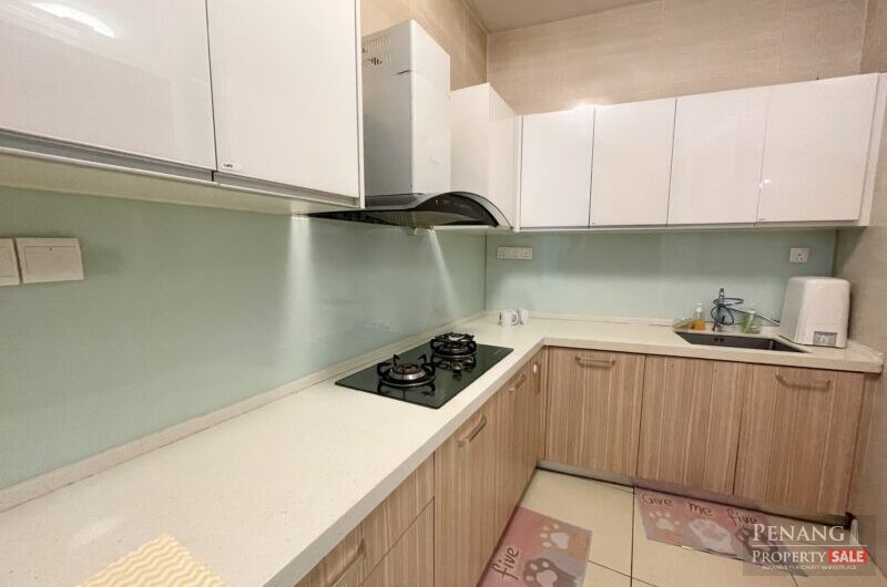 Setia Triangle Condo, Renovated with 2 Carparks, Freehold