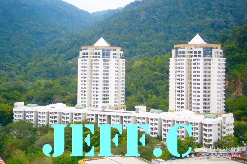 Leader Garden Condo Tanjung Bungah Renovated Quiet Peaceful Location