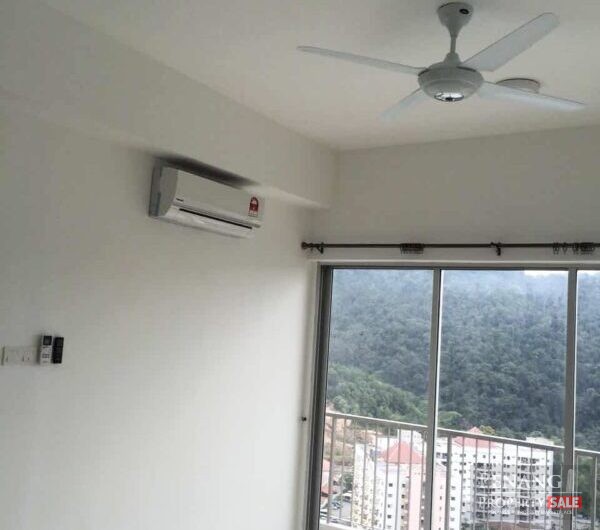 Most Value Buy! Platinum 3 with 2 Carparks