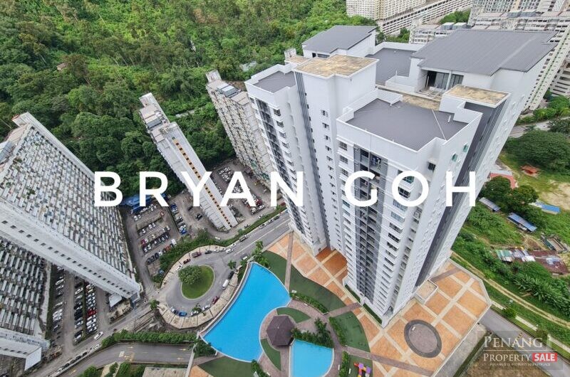 The Stone Condo For Rent Near Bukit Kukus Paired Road, Terubong Avenue