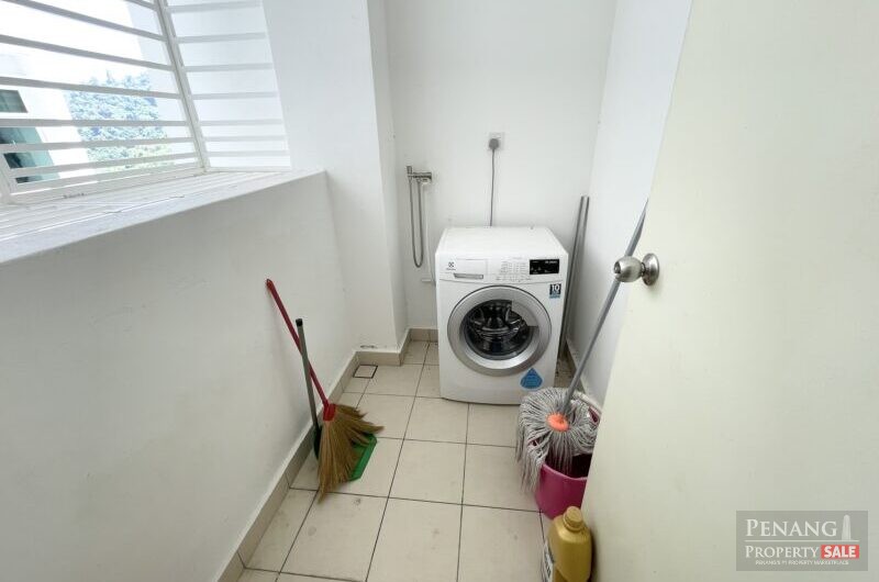 Move In Ready! Fully Furnished Orchard Ville with 2 Carparks