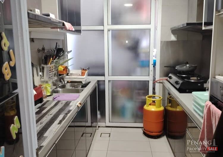 Setia Pinnacle, Sungai Ara