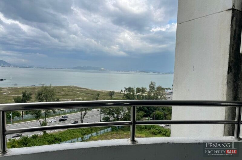 Sinar Bukit Dumbar, Jelutong