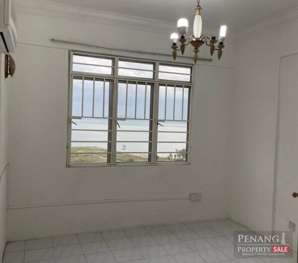 Sinar Bukit Dumbar, Jelutong