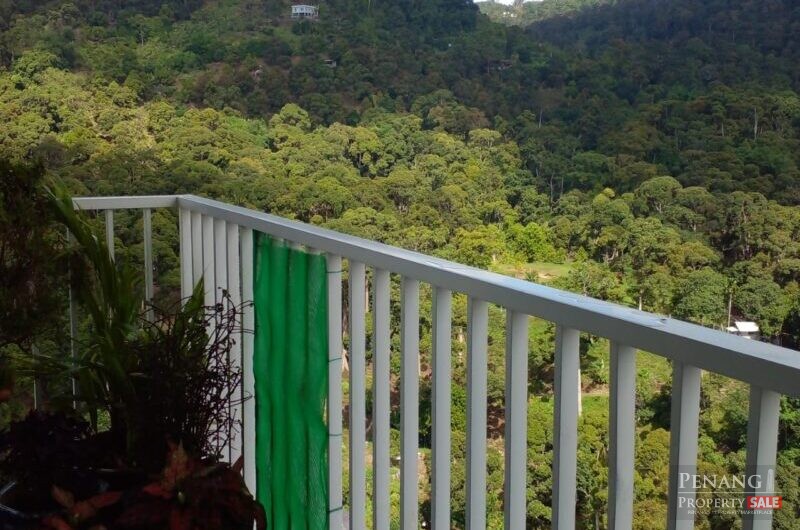 [Corner] Setia Pinnacle, Sungai Ara