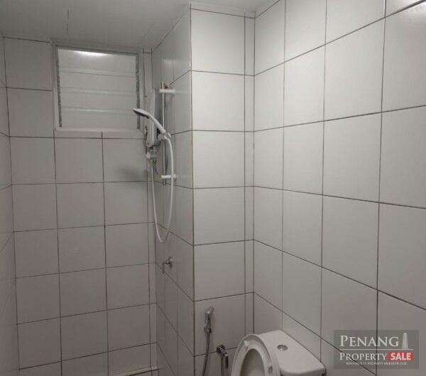 The Stone, Paya Terubong