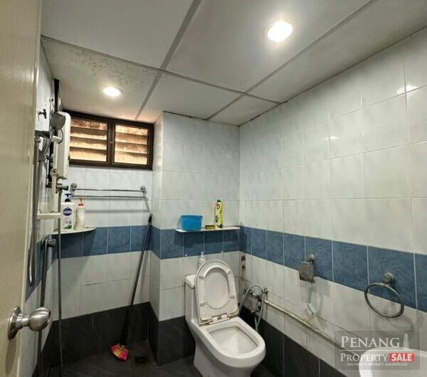 Sunny Ville  -FOR SALES