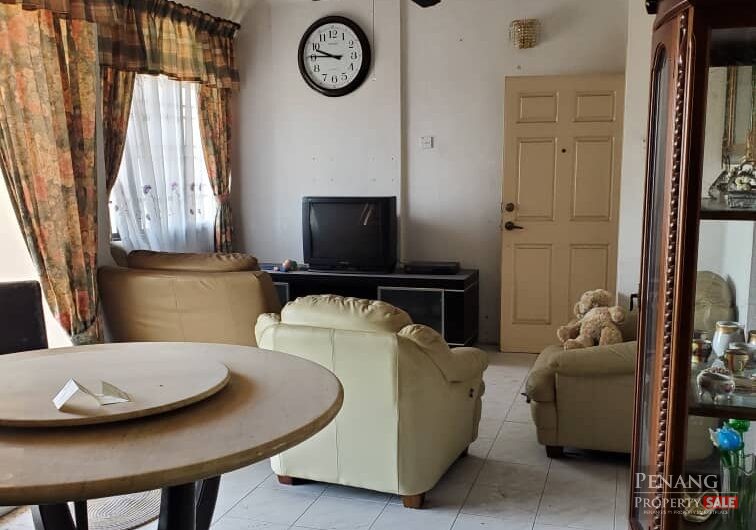 Acres Ville, Sungai Ara