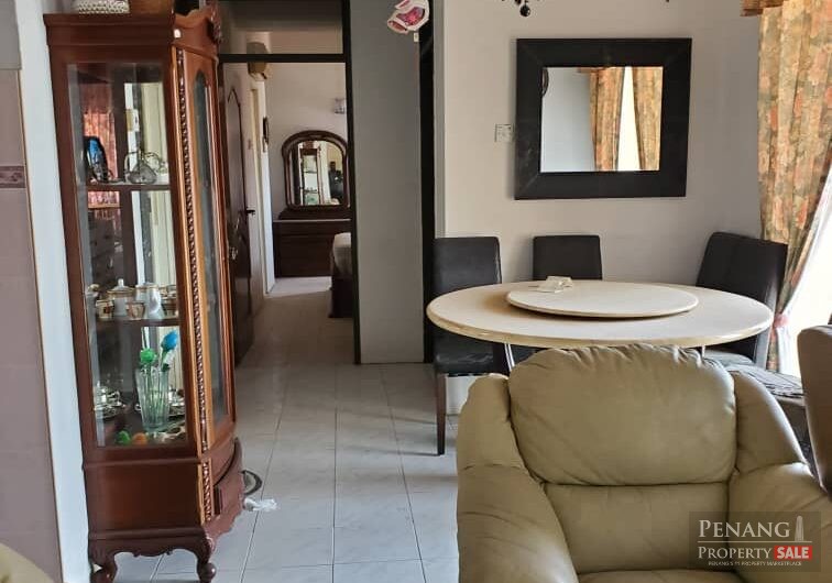 Acres Ville, Sungai Ara