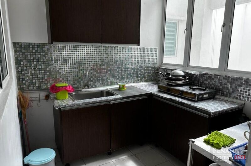 For Sale Shineville Park Condominiums Farlim Ayer Itam 11500 Pulau Pinang