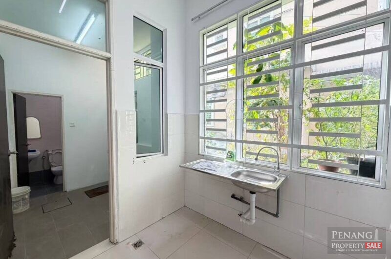 Jelutong _Lintang Penawar 3_Rare In Market_1st come 1 serve