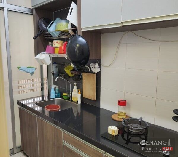 Jay Series, Greenlane for rent