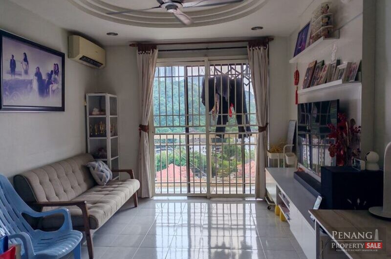 Worth Buy ! Taman Desa Relau 2 Fully Reno Sungai Ara Bayan Lepas 750sf