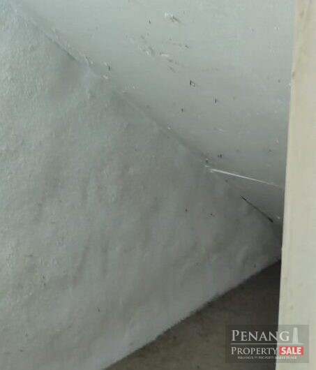 2.5 Storey, Taman Cahaya, Gertak Sanggul, Penang