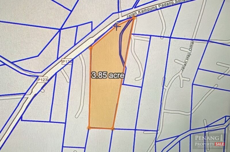 3.84 Acres Tasek Gelugor Roadside Development Land