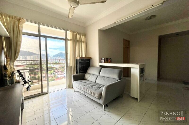 Acres Ville, Sungai Ara