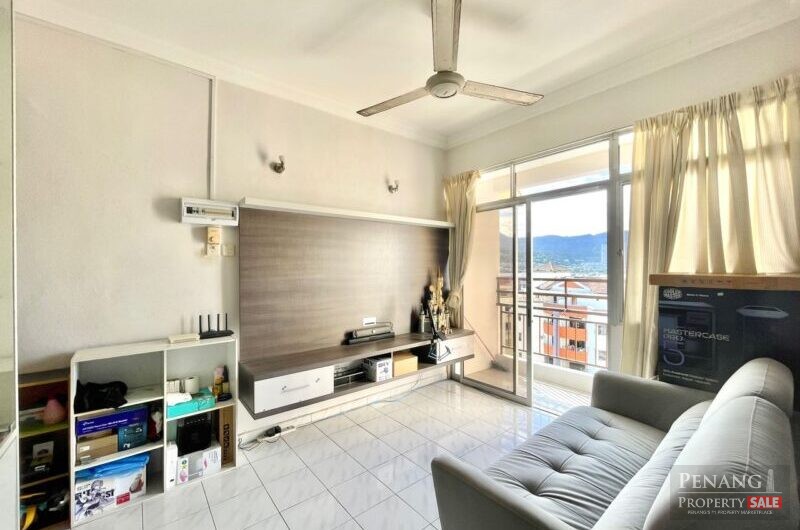 Acres Ville, Sungai Ara