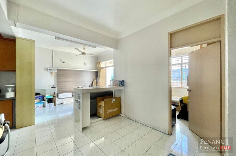 Acres Ville, Sungai Ara