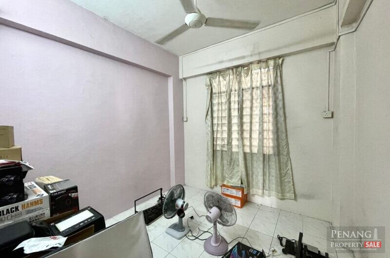 Acres Ville, Sungai Ara