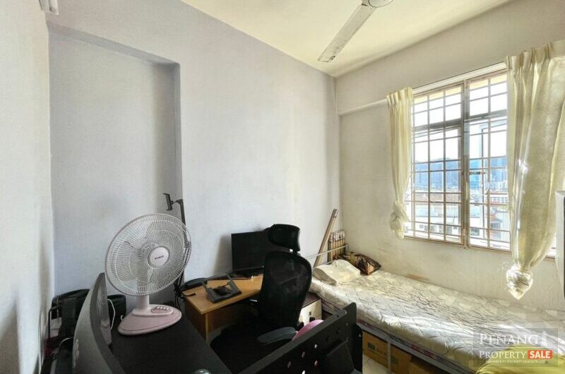 Acres Ville, Sungai Ara