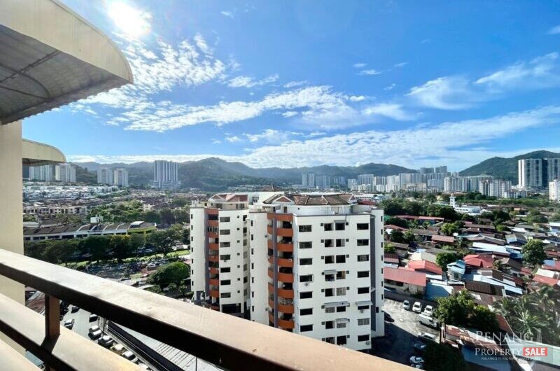 Acres Ville, Sungai Ara