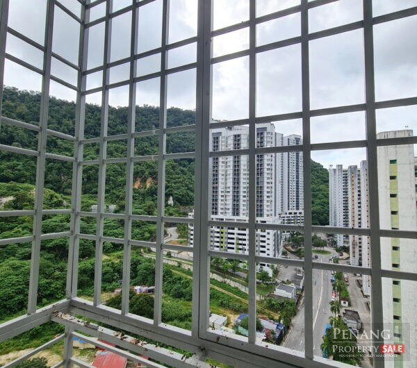 Majestic Heights Paya Terubong Apartment Near Bukit Kukus Paired Road