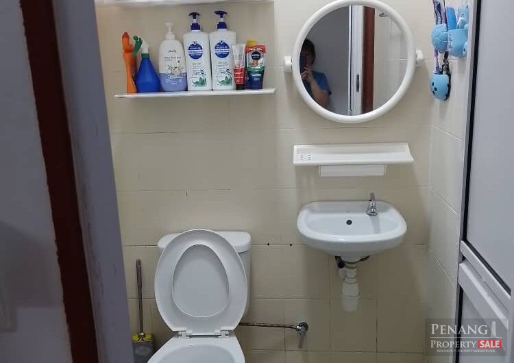 Idaman Lavender 3, Sungai Ara