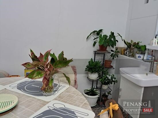 Island Glades, 1/S Terrace @ Lorong Delima, Greenlane, Penang