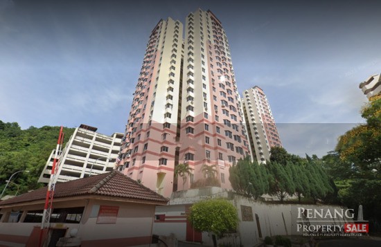 Kingfisher Series, Jelutong, Penang