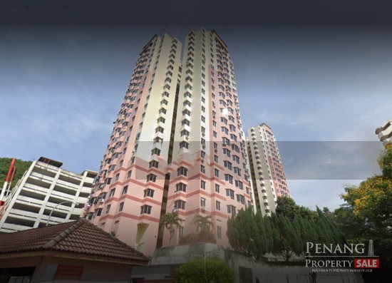 Kingfisher Series, Jelutong, Penang