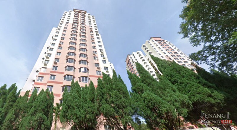 Kingfisher Series, Jelutong, Penang