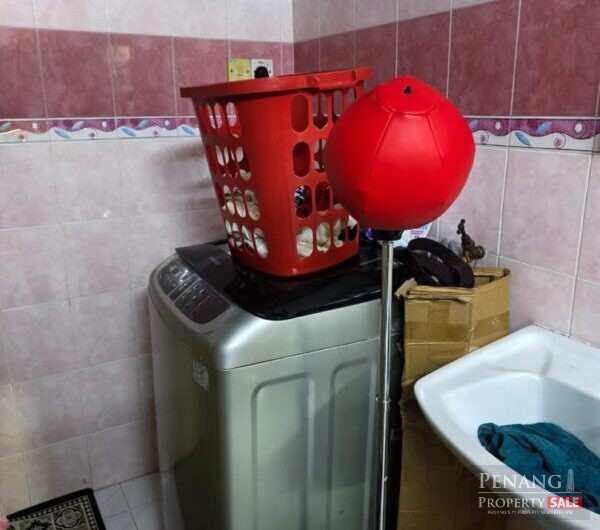 Green Garden for sales