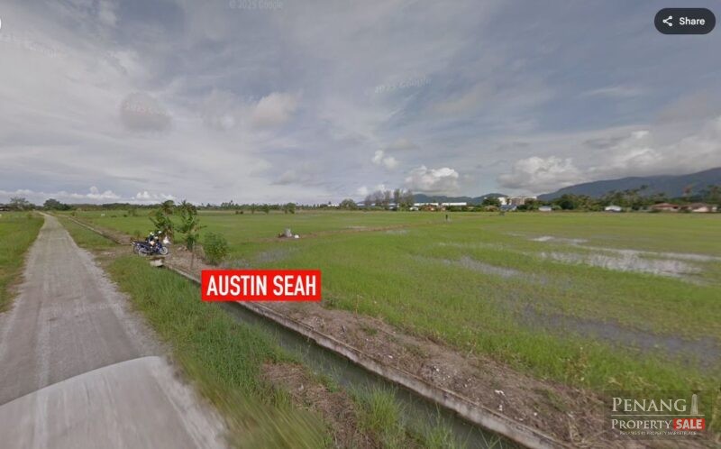 BALIK PULAU FIRST GRADE AGRICULTURE LAND For SALE