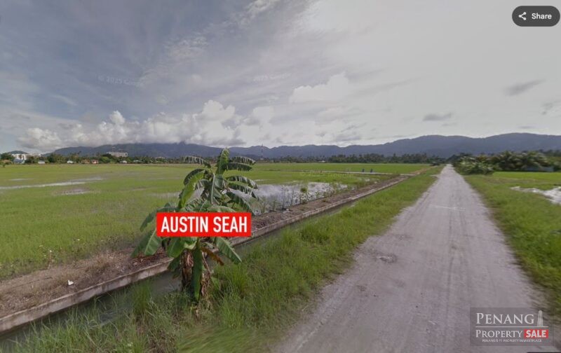 BALIK PULAU FIRST GRADE AGRICULTURE LAND For SALE