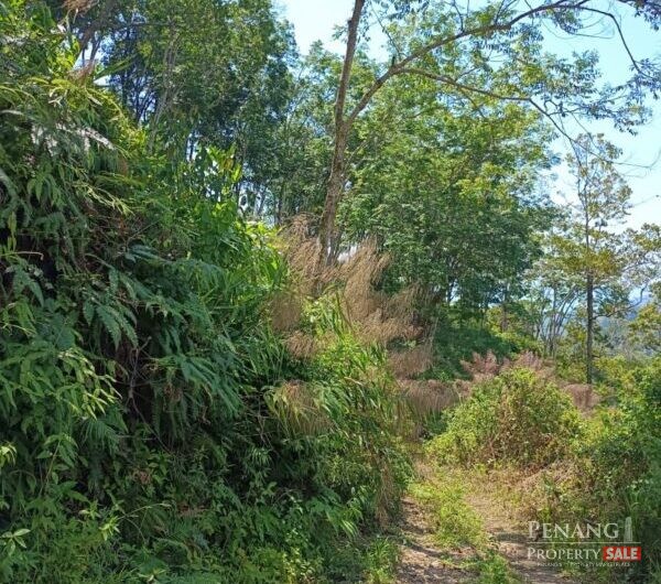Ayer Itam Dam , Jalan Balik Pulau 11900 Bayan Lepas Penang
