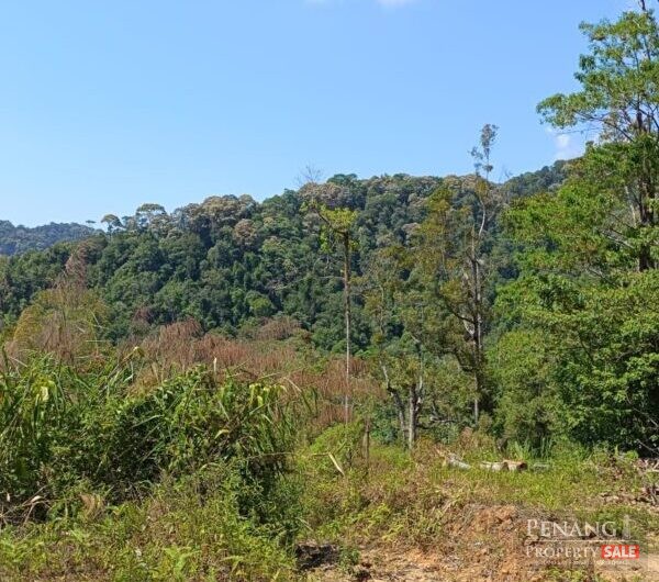 Ayer Itam Dam , Jalan Balik Pulau 11900 Bayan Lepas Penang