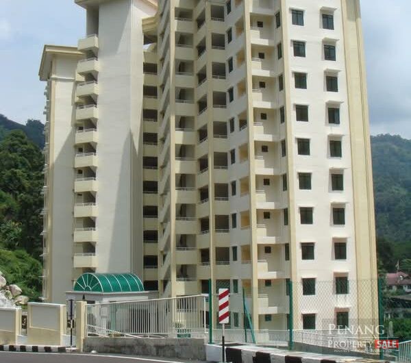 Penhill Perdana Condo, corner, renovated, fully furnished for sale